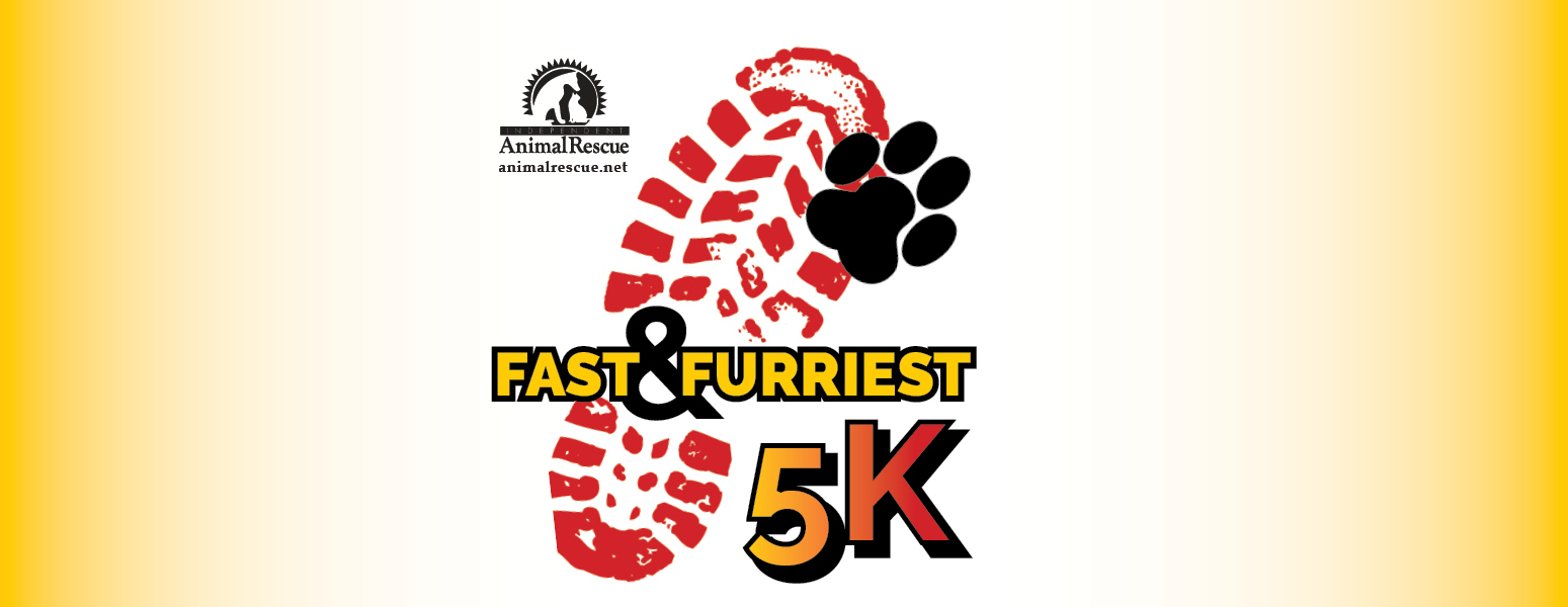 2nd Annual Fast and Furriest Virtual 5K